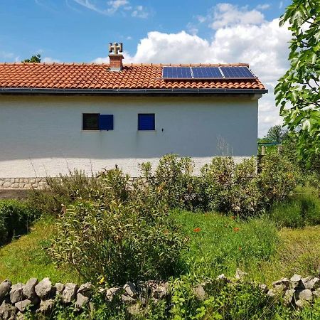 Ecohouse Oliveglia Villa Šilo Exteriör bild