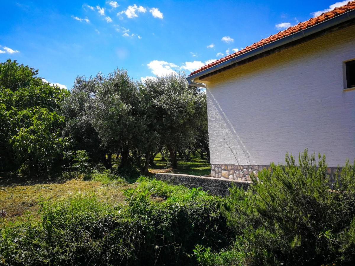 Ecohouse Oliveglia Villa Šilo Exteriör bild